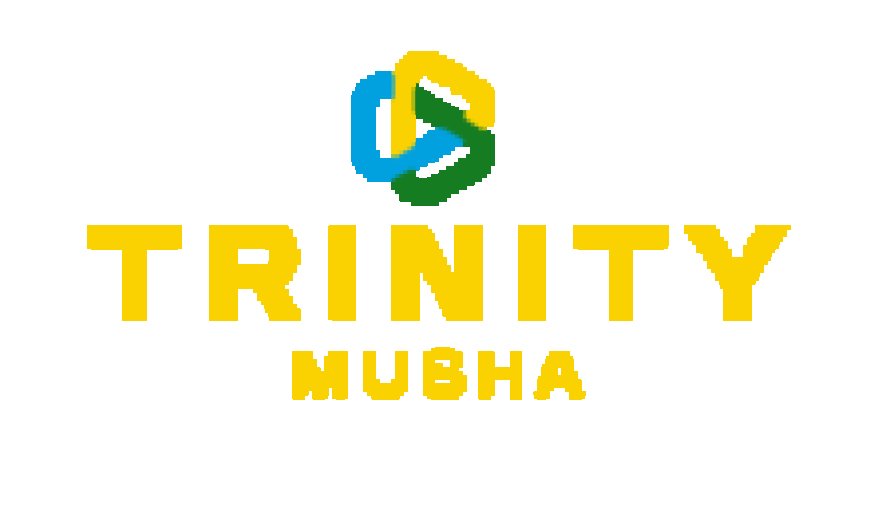 2 Job Positions of Mining Engineer at Trinity Metals – Musha | Rwamagana :Deadline: 24-05-2024